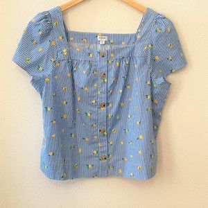 NWT Jcrew Blue Stripe Lemon print cotton square neck top